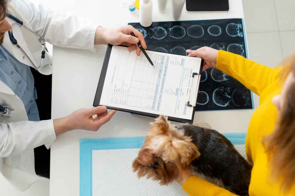 【 哈比動物醫療中心 】寵物健康生活：深入探討寵物護理與動物
