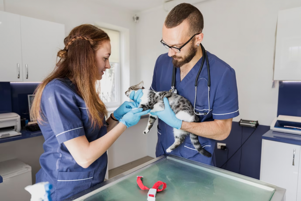 【 哈比動物醫療中心 】專業動物護理的一環：深入了解動物牙醫