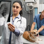 動物醫療中心收費，寵物身體檢查價錢 ，寵物檢查費用​830128